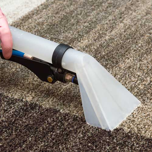Carpet Cleaning suction | BMG Flooring & Tile Center